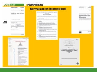 Normalización InternacionalNormalización Internacional
 