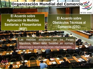 Organización Mundial del Comercio
El Acuerdo sobre
Aplicación de Medidas
Sanitarias y Fitosanitarias
(MSF)
El Acuerdo sobre
Aplicación de Medidas
Sanitarias y Fitosanitarias
(MSF)
El Acuerdo sobre
Obstáculos Técnicos al
Comercio (OTC)
El Acuerdo sobre
Obstáculos Técnicos al
Comercio (OTC)
Las medidas adoptadas por los Países
Miembros, deben estar basadas en normas,
directrices o recomendaciones internacionales.
Las medidas adoptadas por los Países
Miembros, deben estar basadas en normas,
directrices o recomendaciones internacionales.
 
