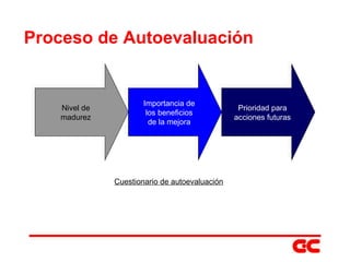 Proceso de Autoevaluación Prioridad para acciones futuras Importancia de los beneficios de la mejora Nivel de madurez Cuestionario de autoevaluación 