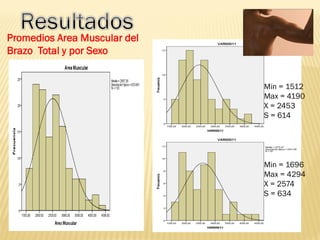 Promedios Area Muscular del
Brazo Total y por Sexo
Min = 1512
Max = 4190
X = 2453
S = 614
Min = 1696
Max = 4294
X = 2574
S = 634
 