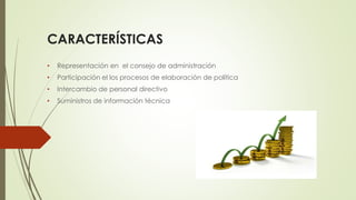 CARACTERÍSTICAS
• Representación en el consejo de administración
• Participación el los procesos de elaboración de política
• Intercambio de personal directivo
• Suministros de información técnica
 