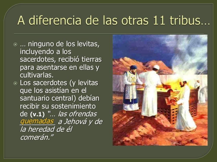 Normas para los Levitas Sacerdotes