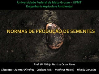 Prof. Dª Niédja Marizze Cezar Alves
Discentes: Azemar Oliveira; Crislane Reis;

Matheus Mulati;

Ritielly Carvalho

 
