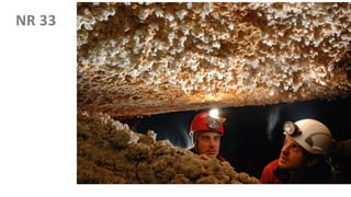 NR’s
NR 33
 