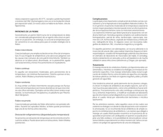 Coproscopia Normas same | PDF