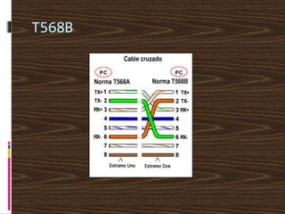T568B
 