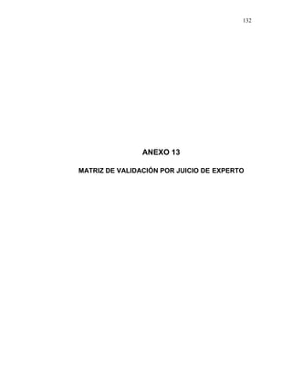 132
ANEXO 13
MATRIZ DE VALIDACIÓN POR JUICIO DE EXPERTO
 