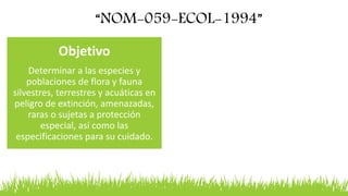 Nom 059 Logo Normas y Leyes mexicanas del ámbito ambiental | PPTX
