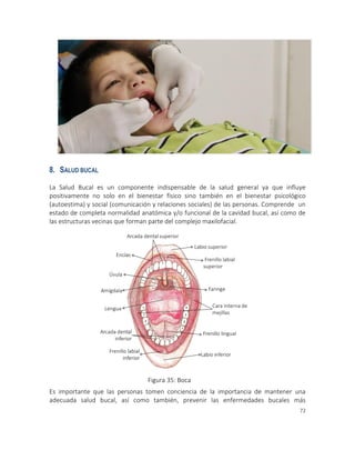 72
8. SALUD BUCAL
La Salud Bucal es un componente indispensable de la salud general ya que influye
positivamente no solo en el bienestar físico sino también en el bienestar psicológico
(autoestima) y social (comunicación y relaciones sociales) de las personas. Comprende un
estado de completa normalidad anatómica y/o funcional de la cavidad bucal, así como de
las estructuras vecinas que forman parte del complejo maxilofacial.
Es importante que las personas tomen conciencia de la importancia de mantener una
adecuada salud bucal, así como también, prevenir las enfermedades bucales más
Figura 35: Boca
 