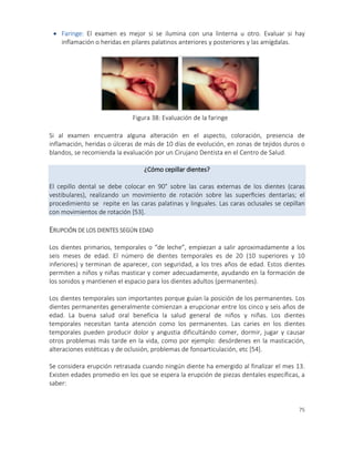 75
 Faringe: El examen es mejor si se ilumina con una linterna u otro. Evaluar si hay
inflamación o heridas en pilares palatinos anteriores y posteriores y las amígdalas.
Si al examen encuentra alguna alteración en el aspecto, coloración, presencia de
inflamación, heridas o úlceras de más de 10 días de evolución, en zonas de tejidos duros o
blandos, se recomienda la evaluación por un Cirujano Dentista en el Centro de Salud.
¿Cómo cepillar dientes?
El cepillo dental se debe colocar en 90° sobre las caras externas de los dientes (caras
vestibulares), realizando un movimiento de rotación sobre las superﬁcies dentarias; el
procedimiento se repite en las caras palatinas y linguales. Las caras oclusales se cepillan
con movimientos de rotación [53].
ERUPCIÓN DE LOS DIENTES SEGÚN EDAD
Los dientes primarios, temporales o “de leche”, empiezan a salir aproximadamente a los
seis meses de edad. El número de dientes temporales es de 20 (10 superiores y 10
inferiores) y terminan de aparecer, con seguridad, a los tres años de edad. Estos dientes
permiten a niños y niñas masticar y comer adecuadamente, ayudando en la formación de
los sonidos y mantienen el espacio para los dientes adultos (permanentes).
Los dientes temporales son importantes porque guían la posición de los permanentes. Los
dientes permanentes generalmente comienzan a erupcionar entre los cinco y seis años de
edad. La buena salud oral beneficia la salud general de niños y niñas. Los dientes
temporales necesitan tanta atención como los permanentes. Las caries en los dientes
temporales pueden producir dolor y angustia dificultándo comer, dormir, jugar y causar
otros problemas más tarde en la vida, como por ejemplo: desórdenes en la masticación,
alteraciones estéticas y de oclusión, problemas de fonoarticulación, etc [54].
Se considera erupción retrasada cuando ningún diente ha emergido al finalizar el mes 13.
Existen edades promedio en los que se espera la erupción de piezas dentales específicas, a
saber:
Figura 38: Evaluación de la faringe
 