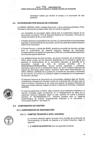 6.4 INTERVENCIÓN POR NIVELES DE ATENCIÓN
COMPONENTES DE GESTIÓN
6.5
6.5.1.COMPONÉNTES DE ORGANIZACIÓN
6.5.1.1. COMITES TÉCNICOS A NIVEL NACIONAL
> El COMITÉ DE EXPERTOS tiene las siguientes funciones:
36
La DIRESA, GERESA, DIRIS, Unidades Ejecutoras, y otros subsectores (EsSalud, FFAA,
Policiales e instituciones privadas) deben tener en cuenta lo siguiente:
Las actividades de vacunación deben regirse bajo el cumplimiento estricto de los
documentos normativos: NTS de Esquema Nacional de Vacunación y NTS para el
manejo de cadena de frío a nivel nacional.
El Estado garantiza la gratuidad de las vacunas y su administración en las actividades
regulares y complementarias de vacunación, que forman parte del presente Esquema
Nacional de Vacunación.
La normativa sectorial vigente reconoce como Comités de la Dirección de
Inmunizaciones, al Comité de Expertos y al Comité Consultivo, segím lo
siguiente:
estrategias locales que faciliten el acceso a la vacunación de esta
población.
El Estado Peruano, a través del MINSA, garantiza la provisión de vacunas y jeringas
para el cumplimiento del presente Esquema Nacional de Vacunación,
correspondiendo a los gobiernos regionales y DIRIS de Lima Metropolitana garantizar
recursos para gastos operativos.
NTS N0 -MINSA/DGIESR-2022
NORMA TÉCNICA DE SALUD QUE ESTABLECE EL ESQUEMA NACIONAL DE VACUNACIÓN
- Los establecimientos de salud privados, que tienen convenios con el Ministerio de
Salud, deben cumplir con los requisitos establecidos en la normativa vigente que
garantice la implementación de un vacunatorio adecuado, la gratuidad de la
vacunación (cuando se trate de vacunas provistas por el
MINSA/DIRESA/GERESA/DIRÍS), recurso humano capacitado y acreditado,
adecuada cadena de frío e instalaciones físicas, así como el registro adecuado del
sistema de información oficial vigente. Asimismo, debe remitir mensualmente a la
DIRIS, DIRESA y GERESA de su jurisdicción, el reporte de vacunados y movimiento
de los insumes, en función a su población objetivo considerada en la programación
de vacunas y jeringas.
- El Esquema Nacional de Vacunación en comunidades indígenas debe ser flexible,
considerando márgenes de intervalos mínimo de 4 semanas (28 a 30 días); esto en
razón al número y frecuencia de las visitas que realizan los equipos itinerantes de
salud que brindan Atención Integral de Salud a Poblaciones Excluidas y Dispersas
(AISPED).
- En caso de presentarse un ESAVI, debe cumplirse con la notificación respectiva y la
atención inmediata, según corresponda, en un establecimiento de salud con la
capacidad resolutiva necesaria, según el caso, teniendo en cuenta la Directiva
Sanitaria N° 054-MINSA/DGE-V.01, “Directiva Sanitaria para la Vigilancia
Epidemiológica de Eventos Supuestamente Atribuidos a la Vacunación o
Inmunización (ESAVI)”. Ver Anexo 15
í -J— i
 