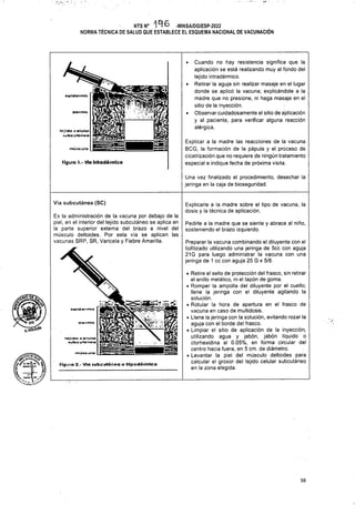 opidormlt
dermlt
músculo
Figuro 1.* Vio introdórmlco
Vía subcutánea (SC)
Rí opldoífnl»
dojmi*
mitcvlQ
Figura 2.- Via subcutánea o hlpodérmica
58
Una vez finalizado el procedimiento, desechar la
jeringa en la caja de bioseguridad.
Explicar a la madre las reacciones de la vacuna
BCG, la formación de la pápula y el proceso de
cicatrización que no requiere de ningún tratamiento
especial e indique fecha de próxima visita.
• Cuando no hay resistencia significa que la
aplicación se está realizando muy al fondo del
tejido intradérmico.
• Retirar la aguja sin realizar masaje en el lugar
donde se aplicó la vacuna; explicándole a la
madre que no presione, ni haga masaje en el
sitio de la inyección.
• Observar cuidadosamente el sitio de aplicación
y al paciente, para verificar alguna reacción
alérgica.
tejido célula»
tubeu*ónoo
inicio cetulctf
Preparar la vacuna combinando el diluyente con el
liofilizado utilizando una jeringa de 5cc con aguja
21G para luego administrar la vacuna con una
jeringa de 1 cc con aguja 25 G x 5/8.
Explicarle a la madre sobre el tipo de vacuna, la
dosis y la técnica de aplicación.
Pedirle a la madre que se siente y abrace al niño,
sosteniendo el brazo izquierdo.
• Retire el sello de protección del frasco, sin retirar
el anillo metálico, ni el tapón de goma.
• Romper la ampolla del diluyente por el cuello;
llene la jeringa con el diluyente agitando la
solución.
• Rotular la hora de apertura en el frasco de
vacuna en caso de multidosis.
• Llene la jeringa con la solución, evitando rozar la
aguja con el borde del frasco.
• Limpiar el sitio de aplicación de la inyección,
utilizando agua y jabón, jabón líquido o
clorhexidina al 0.05%, en forma circular del
centro hacia fuera, en 5 cm. de diámetro.
• Levantar la piel del músculo deltoides para
calcular el grosor del tejido celular subcutáneo
en la zona elegida.
Es la administración de la vacuna por debajo de la
piel, en el interior del tejido subcutáneo se aplica en
la parte superior externa del brazo a nivel del
músculo deltoides. Por esta vía se aplican las
vacunas SRP, SR, Varicela y Fiebre Amarilla.
NTS N° 196 -MINSA/DGIESP-2022
NORMA TÉCNICA DE SALUD QUE ESTABLECE EL ESQUEMA NACIONAL DE VACUNACIÓN
Wx
< 0GZ
 