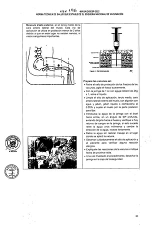Figura 3 > V)o Hramuiculof
Á.HOLGUIN
60
l
Prepare las vacunas asi:
• Retire el sello de protección de los frascos de las
vacunas; agite el frasco suavemente.
• Con la jeringa de 1 cc con aguja retráctil de 25g
x 1, retire el líquido.
• Limpie el sitio de aplicación, tercio medio, cara
antera lateral externa del muslo, con algodón con
agua y jabón, jabón líquido o clorhexidina al
0.05% y sujete el muslo por la parte posterior
para fijar.
• Introduzca la aguja de la jeringa con el.bisel
hacia arriba, en un ángulo de 90° profunda,
evitando dirigirla hacia el hueso y verifique si hay
retorno de sangre en la jeringa, si esto sucede
retire la aguja unos milímetros y cambie la
dirección de la aguja, inyecte lentamente.
• Retire la aguja sin realizar masaje en el lugar
donde se aplicó la vacuna.
• Observar cuidadosamente el sitio de aplicación y
al paciente para verificar alguna reacción
alérgica.
• Explíquele las reacciones de la vacuna e indique
fecha de próxima visita.
• Una vez finalizado el procedimiento, desechar la
jeringa en la caja de bioseguridad.
t*jta** * v*w*v
NTSN°AA£> -MINSA/DGIESP-2022
NORMA TÉCNICA DE SALUD QUE ESTABLECE EL ESQUEMA NACIONAL DE VACUNACIÓN
Músculo Vasto externo: en el tercio medio de la
cara antera lateral del muslo. Esta vía de
aplicación se utiliza en población menor de 2 años
debido a que en este lugar no existen nervios, ni
vasos sanguíneos importantes.
I
¡uí '
 