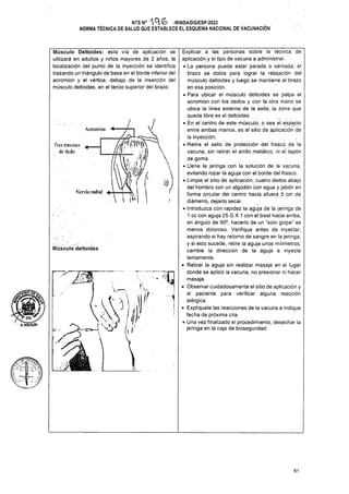 Acromion
!
Músculo deltoides
•JQ
A
'1
61
9
(
Músculo Deltoides: esta vía de aplicación se
utilizará en adultos y niños mayores de 2 años; la
localización del punto de la inyección se identifica
trazando un triángulo de base en el borde inferior del
acromion y el vértice, debajo de la inserción del
músculo deltoides, en el tercio superior del brazo.
Tres travcscs
de dedil

Explicar a las personas sobre la técnica de
aplicación y el tipo de vacuna a administrar.
• La persona puede estar parada o sentada; el
brazo se dobla para lograr la relajación del
músculo deltoides y luego se mantiene.el brazo
en esa posición.
• Para ubicar el músculo deltoides se palpa el
acromion con los dedos y con la otra mano se
ubica la línea externa de la axila; la zona que
queda libre es el deltoides.
• Én el centro de este músculo, o sea el espacio
entre ambas manos, es el sitio de aplicación de
la inyección.
• Retire el sello de protección del'frasco de la
vacuna, sin retirar el anillo metálico, ni el tapón
de goma.
• Llene la jeringa con la solución de la vacuna,
evitando rozar la aguja con el borde del frasco.
• Limpie el sitio de aplicación, cuatro dedos abajo
del hombro con un algodón con agua y jabón en
forma circular del centro hacia afuera 5. cm .de
diámetro, dejarlo, secár.
• Introduzca con rapidez la aguja de la jeringa de
1 cc con aguja 25 G X 1 con el bisel hacia arriba,
en ángulo de 90°, hacerlo de un "solo golpe" es
menos doloroso. Verifique antes de inyectar,
aspirando si hay retorno de sangre en la jeringa,
y si esto sucede, retire la aguja unos milímetros;
cambie la dirección de la aguja e inyecte
lentamente.
• Retirar la aguja sin realizar masaje en el lugar
donde se aplicó la vacuna, no presionar ni hacer
masaje.
• Observar cuidadosamente el sitio de aplicación y
al paciente para verificar alguna reacción
alérgica.
• Explíquele las reacciones de la vacuna e indique
fecha de próxima cita.
• Una vez finalizado el procedimiento, desechar la
jeringa en la caja de bioseguridad.
NTS N° ’A A. (Ó -MINSA/DGIESP-2022
NORMA TÉCNICA DE SALUD QUE ESTABLECE EL ESQUEMA NACIONAL DE VACUNACIÓN
A.HOLGUÍN
Nervio radial —i—I
.  i I’M I
 