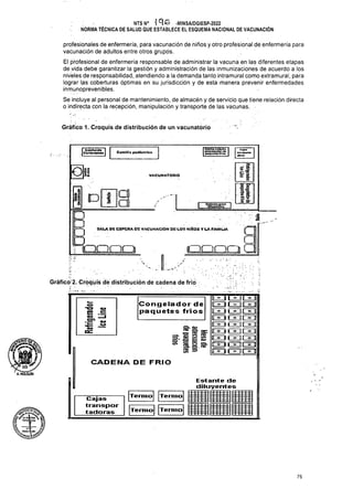 Gráfico 1. Croquis de distribución de un vacunatorio
VACUNATORIO
I I
SALA 06 ESPORA O® VACUNACION OG LOS HI&OS Y LA FAMILIA
coma-
; .J' "/
s
CADENA DE FRIO
Termo Termo
Termo
Termo
75
a»
ce:
a»
Cajas
transpor
(adoras
Estante de
diluyentes
Se incluye al personal de mantenimiento, de almacén y de servicio que tiene relación directa
o indirecta con la recepción, manipulación y transporte de las vacunas.
-ÍSS—
'vi
k. -4~ |
DhcitraLtcaln
«■ g r
Congelador de
paquetes fríos
sí-
4-
• í QQQQ
r..
■ ' ■■■. '. . ■ • '
!• : . . . ' ■ ■ - ■ L
Gráficó;2. Croquis dé distribución de cadena de frió
profesionales de enfermería, para vacunación de niños y otro profesional de enfermería para
vacunación de adultos entre otros grupos.
El profesional de enfermería responsable de administrar la vacuna en las diferentes etapas
de vida debe garantizar la gestión y administración de las inmunizaciones de acuerdo a los
niveles de responsabilidad, atendiendo a la demanda tanto intramúraícomo extramural, para
lograr las coberturas óptimas en su jurisdicción y de esta manera prevenir enfermedades
inmunoprevenibles.
CX ar
=T f 2 S
s-
S? =
3
®_3>
íE^_3<
s
■X3 «u»
E .=
L~_n
EZJIí
° t r °
CMM»
rs»
NTSN° ’IAS -MINSA/DGIESP-2022
NORMA TÉCNICA DE SALUD QUE ESTABLECE EL ESQUEMA NACIONAL DE VACUNACIÓN
z
je
je
k
JE
o
gol i '; E
S3 C
>—C
 