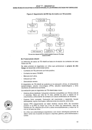 B. UTUMA A.
Diagnóstico TE
congénita
Iniciar HRZE
Examen normal
Iniciar TPI
RN hijo de madre
con TB sensible
NTS N° i 011 • MINSA/DGSP V.01
NORMA TÉCNICA DE SALUD PARA LA ATENCIÓN INTEGRAL DE LAS PERSONAS AFECTADAS POR TUBERCULOSIS
Figura 3: Seguimiento del RN hijo de madre con TB sensible
Control a 3 meses y aplicar PPD*
PPD <5
i/
Suspender
TB No TB TPI
PPD 3 5
Iniciar tratamiento
y
Completar los
6 meses de TPI
Vacunar:
BCG
• En caso de no disponer de PPD se deberá completar 6 meses de TPI y luego
vacunar con BCG.
B.2 Tuberculosis infantil
La detección de casos de TB infantil se basa en el estudio de contactos del caso
índice con TB.
Se debe priorizar el diagnóstico en niños que pertenezcan a grupos de alto
riesgo de desarrollar enfermedad activa:
- Contactos de TB pulmonar con frotis positivo.
- Contacto de casos TB MDR.
- Menores de 5 años.
- Infección por VIH.
- Desnutrición severa.
El diagnóstico de TB infantil se sustenta en la evaluación clínica, el antecedente
epidemiológico, estudio inmunológico (PPD), estudios bacteriológicos y otros
resultados de exámenes auxiliares.
La evaluación para el diagnóstico de TB infantil debe incluir:
- Historia clínica detallada: Incluyendo síntomas compatibles con TB (tos más de
2 semanas, fiebre por más de 14 días, pérdida de peso o retraso en el
crecimiento) y antecedente de contacto con casos confirmados de TB activa.
- Examen físico completo: Evaluación del crecimiento y desarrollo, buscar
adenopatías, signos meníngeos, deformaciones de columna, entre otros.
- Aplicar PPD independiente de haber recibido vacuna BCG. Se considera
positivo si el PPD es mayor de 5 mm en niños con desnutrición, hijos de
madres con TB, infección por el VIH u otras inmunodeficiencias; y mayor de 10
mm en el resto de niños.
- En niños con sintomatología respiratoria o con lesión radiológica pulmonar se
deben tomar dos muestras de esputo o aspirado gástrico, para baciloscopía y
cultivo.
42
 
