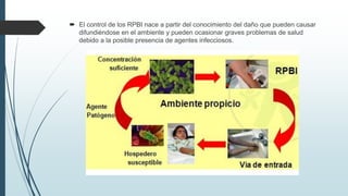  El control de los RPBI nace a partir del conocimiento del daño que pueden causar
difundiéndose en el ambiente y pueden ocasionar graves problemas de salud
debido a la posible presencia de agentes infecciosos.
 