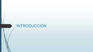 INTRODUCCIÓN
 