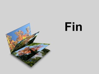 Fin

 