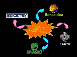 Bancoldex Findeter LÍNEAS CON  RECURSOS REDESCONTABLES 