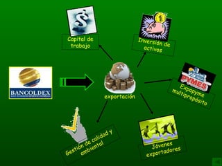 Gestión de calidad y ambiental exportación exportación Capital de trabajo Capital de trabajo Inversión de activos Expopyme multipropósito Jóvenes exportadores 
