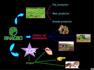 LÍNEAS DE INVERSION ICR Peq. productor Med. productor Grande productor etapas 