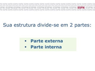 Sua estrutura divide-se em 2 partes:
	
  
        §  Parte externa
        §  Parte interna
 