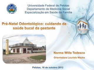 Pelotas, 16 de outubro 2012
Universidade Federal de Pelotas
Departamento de Medicina Social
Especialização em Saúde da Família
 