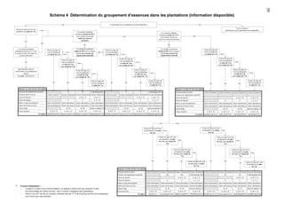 30

Schéma 4 Détermination du groupement d’essences dans les plantations (information disponible)
oui
Toutes les tiges de l’aire de
plantation ont plus de 7 m

non

Voir le schéma 5
(information sur les plantations non disponible)

Les essences plantées
constituent moins de 50 %
de la surface terrière de
toutes les essences
présentes

oui
non
Les essences plantées
constituent moins de 25 % de
la surface terrière de toutes les
essences présentes

non

L’information sur les plantations est-elle disponible ?

Les essences plantées
constituent moins de 75 %
de la surface terrière de
toutes les essences présentes

non

oui
Toutes les tiges de
l’aire de plantation
ont moins de 2 m

oui
non

oui

Les feuillus constituent
moins de 50 % de la surface
terrière des essences de
régénération naturelle

Les feuillus constituent
moins de 50 % de la surface
terrière des essences de
régénération naturelle

Toutes les tiges de
l’aire de plantation
ont plus de 2 m,
mais moins de 4 m

oui

Identification selon la
stratification d’un peuplement
naturel
Exemple : SS D4 50 A

non

Toutes les tiges de
l’aire de plantation
ont moins de 2 m

non
Toutes les tiges de
l’aire de plantation
ont plus de 2 m,
mais moins de 4 m

non

Toutes les tiges de
l’aire de plantation
ont plus de 4 m,
mais moins de 7 m
oui

oui

R

non

Code de group. d'ess.

oui

oui

oui

Toutes les tiges de
l’aire de plantation
ont plus de 7 m

F

Code de group. d'ess.

oui

oui

non

Toutes les tiges de
l’aire de plantation
ont plus de 7 m

oui

Données et ordre de leur inscription
Essences mises en terre

Code d’essence(1) Essence dominante Essence dominante Essence dominante Code d’essence(1) Essence dominante Essence dominante Essence dominante

Classe de densité

A, B, C, C

Classe de hauteur

6

A, B, C, C

5

1, 2, 3, 4

Code d’essence(1) Code d’essence(1) Code d’essence(1) Code d’essence(1)

Essences de régénération naturelle

A, B, C, D

A, B, C, D

Classe de densité

5

1, 2, 3, 4

Classe de hauteur

6

A, B, C, D

Selon information Selon information Selon information Selon information Selon information Selon information Selon information Selon information

Mode ou type de plantation

Année de la mise en terre

Selon information Selon information Selon information Selon information Selon information Selon information Selon information Selon information

Année de la mise en terre

Classe d’âge

10, 30
A, B, C, D

10, 30

Selon le tableau 15

A, B, C, D

A, B, C, D

A, B, C, D

10, 30
A, B, C, D

10, 30

Selon le tableau 15

A, B, C, D

A, B, C, D

A, B, C, D

10, 30

Classe de pente

Toutes les tiges de l’aire
de plantation ont moins
de 2 m

10, 30

A, B, C, D

A, B, C, D

A, B, C, D

EpH 6 plr 90 10 B

EpL B5 plr 88 10 B

EpO B4 pln78 30 A

A, B, C, D
Exemple : EpH(EpL) pln 92 A

Selon le tableau 15

non
Toutes les tiges de l’aire
de plantation ont moins
de 2 m

non

Toutes les tiges de l’aire
de plantation ont plus
de 2 m, mais moins de
4m

oui

non

Toutes les tiges de l’aire
de plantation ont plus
de 2 m, mais moins de
4m

non

Toutes les tiges de l’aire
de plantation ont plus
de 4 m, mais moins de
7m
oui

1, 2, 3, 4

Selon information Selon information Selon information Selon information
Selon information Selon information Selon information Selon information

Classe d’âge

Exemple : EpO(EpN) pln 90 A R(EpL) 6 plr 86 10 B R(EpL) C5 ens 80 10 A S(EpO) B4 pln 78 30 A EpN(MeL) plr 90 B F(EpO) 6 plr 92 10 B F(EpO) B5 ens 89 10 A Bb(EpO)A4pln7630A

oui

A, B, C, D

5

6

Mode ou type de plantation

Classe de pente

non

Toutes les tiges de
l’aire de plantation
ont plus de 4 m,
mais moins de 7 m

Données et ordre de leur inscription
Essences de régénération naturelle
Essences mises en terre

non

non

F

Toutes les tiges de
l’aire de plantation
ont plus de 7 m

Toutes les tiges de
l’aire de plantation
ont moins de 2 m

Toutes les tiges de
l’aire de plantation
ont plus de 2 m,
mais moins de 4 m

Toutes les tiges de
l’aire de plantation
ont plus de 4 m,
mais moins de 7 m

non

R

oui

non

oui

Toutes les tiges de l’aire
de plantation ont plus
de 4 m, mais moins de
7m

non

Toutes les tiges de l’aire
de plantation ont plus
de 7 m

non

oui

oui
oui

non

Toutes les tiges de l’aire
de plantation ont plus
de 7 m

Données et ordre de leur inscription
Essences mises en terre

Code d’essence(1) Essence dominante Essence dominante Essence dominante Code d’essence(1) Essence dominante Essence dominante Essence dominante

Essences de régénération naturelle

(R)

Classe de hauteur

6

(R)

Code de group. d'ess

A, B, C, D

Classe de densité

A, B, C, D

5

(F)

1, 2, 3, 4

6

(F)

Code de group. d'ess

A, B, C, D

A, B, C, D

5

1, 2, 3, 4

Mode ou type de plantation
(1)

Essences dominantes :
Lorsqu’il y a plus d’une essence plantée, on indique d’abord celle qui constitue le plus
fort pourcentage de surface terrière, puis l’essence compagne entre parenthèses.
Dans le cas où l’une de ces essences constitue plus de 75 % de la surface terrière de la plantation,
on n’inscrit que cette dernière.

Selon information Selon information Selon information Selon information Selon information Selon information Selon information Selon information

Année de la mise en terre

Selon information Selon information Selon information Selon information Selon information Selon information Selon information Selon information

Classe d’âge

10, 30

Classe de pente

A, B, C, D
Exemple :

MeJ plr 94 A

10, 30

Selon le tableau 15

A, B, C, D

A, B, C, D

A, B, C, D

10, 30
A, B, C, D

10, 30

Selon le tableau 15

A, B, C, D

A, B, C, D

A, B, C, D

EpL (R) 6 plr 92 10 B PiR(R) A5ens8810A PiS (S)B4ens8210A PiG(PiS) ens 92 10 A EpO (F) 6 pln 92 10 A EpN(F)B5plr8810B EpO(Bb)A4pln7630B

 