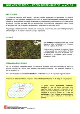 NORMES DE RECOL·LECCIÓ SOSTENIBLE DE LA MOLSA


ANTECEDENTS

És un costum per Nadal, molt arrelat a Catalunya, muntar el pessebre. Els pessebres, tal i com els
coneixem avui, van començar el segle XVI. Es tracta de reproduir escènicament el naixement de Jesús
a través de la incorporació de figures en escenes que representen habitualment la Cova, l’Anunciació
als pastors, l’Adoració dels Reis, així com activitats de la vida quotidiana. L’expressió, colorit i formes
de les figures són clau en aquesta representació i poden tenir un gran valor artístic.

Pel paisatge s’utilitzen elements naturals com serradures, suro i molsa, els quals també prenen gran
rellevància per tal de recrear l’escenari rural que representa.



DEFINICIÓ


                                                           Les molses són petites plantes que formen
                                                           clapes de color verd tot l’any, on s’inclouen
                                                           diferents espècies de briòfits.

                                                           Tenen una gran capacitat de retenció d’aigua
                                                           i d’acumulació de nutrients.Són l'hàbitat
                                                           d’animals petits, serveixen de substrat per a
                                                           la germinació de llavors d’altres plantes i
                                                           protegeixen el sòl.



RECOL·LECCIÓ SOSTENIBLE

Per a la recol·lecció d’aquestes plantes o d’alguna de les seves parts hem de diferenciar segons la
quantitat de producte a recollir dues vessants: una primera domèstica, i una altra més comercial. El
límit es situa en 4 m2 .

Per a la realització d’aquesta activitat de forma sostenible s’haurà de seguir els següents criteris:


 L’època de recol·lecció és la compresa entre el 15 de setembre i el 15 de maig de l’any següent.



                                                       Es poden recollir superfícies contínues
                                                       inferiors a 1 m2, de forma que quedi una
                                                       superfície igual o superior a l’extreta en el
                                                       terreny, repartida homogèniament. No s’ha de
                                                       malmetre el substrat, màxim de 3 cm de
                                                       profunditat, i s’han d’utilitzar eines adequades
                                                       que no causin danys a l’entorn ni malmetin el
                                                       substrat.




                                 Octubre 2012
 