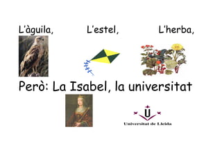 L’àguila,   L’estel,    L’herba,




Però: La Isabel, la universitat
 