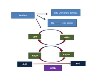 RBC Membrane damage
Oxidant


                 Hb        Heinz bodies




          GSH                 GSSG




          NADP               NADPH



   G-6P                                   6PG
                 G6PD
 