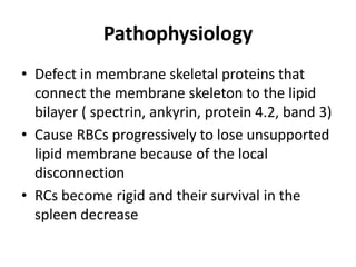 Pathophysiology
• Defect in membrane skeletal proteins that
  connect the membrane skeleton to the lipid
  bilayer ( spectrin, ankyrin, protein 4.2, band 3)
• Cause RBCs progressively to lose unsupported
  lipid membrane because of the local
  disconnection
• RCs become rigid and their survival in the
  spleen decrease
 