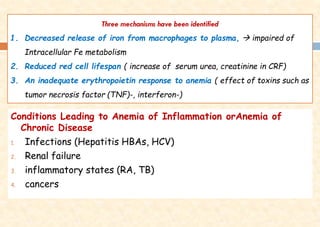 Three mechanisms have been identified
1. Decreased release of iron from macrophages to plasma, → impaired of
Intracellular Fe metabolism
2. Reduced red cell lifespan ( increase of serum urea, creatinine in CRF)
3. An inadequate erythropoietin response to anemia ( effect of toxins such as
tumor necrosis factor (TNF)-, interferon-)
Conditions Leading to Anemia of Inflammation orAnemia of
Chronic Disease
1. Infections (Hepatitis HBAs, HCV)
2. Renal failure
3. inflammatory states (RA, TB)
4. cancers
 