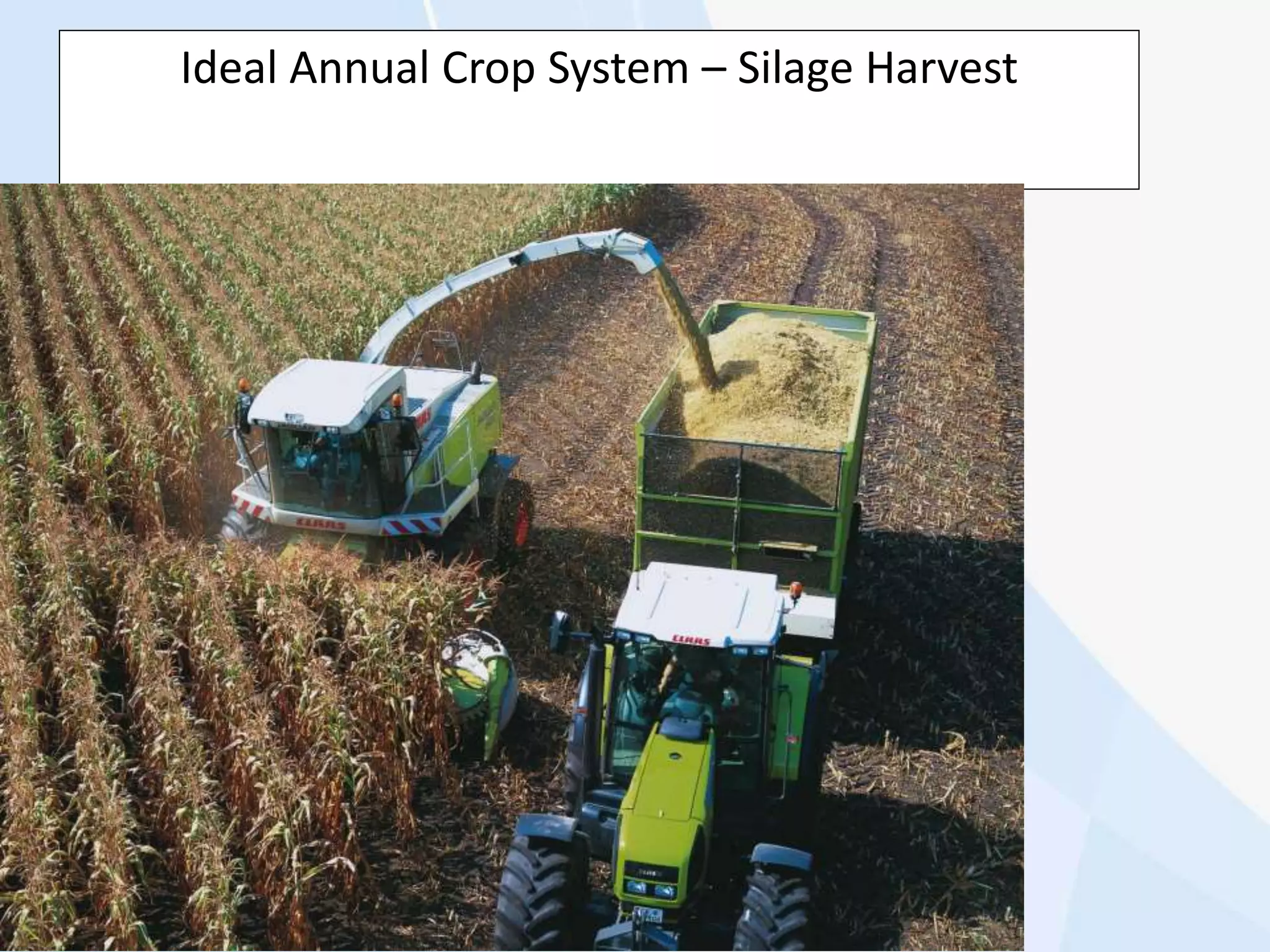 Ideal Annual Crop System – Silage Harvest
 
