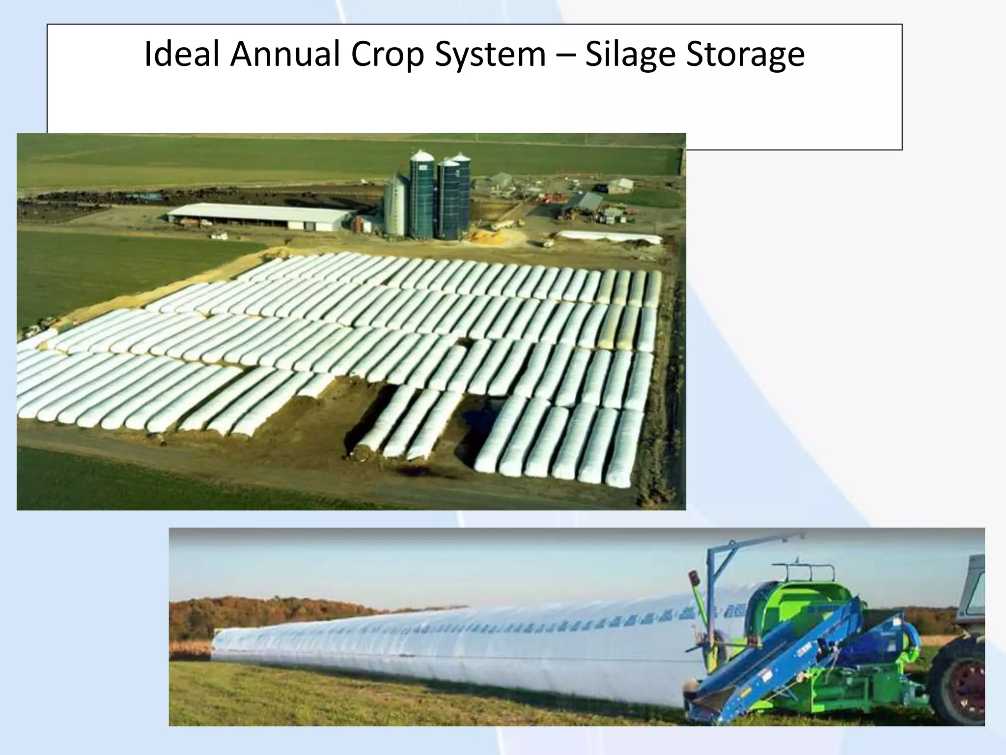 Ideal Annual Crop System – Silage Storage
 