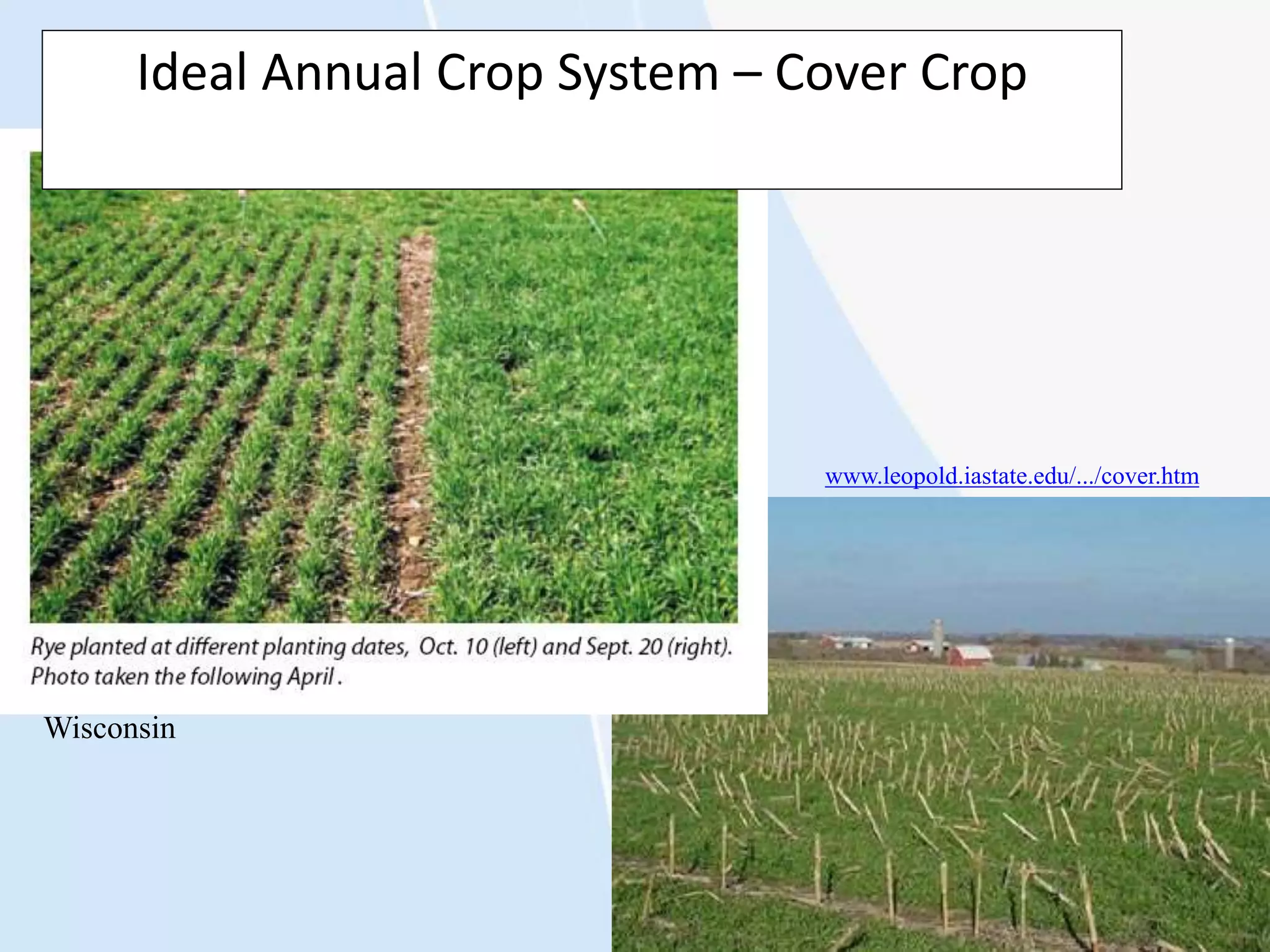 Wisconsin
Ideal Annual Crop System – Cover Crop
www.leopold.iastate.edu/.../cover.htm
 