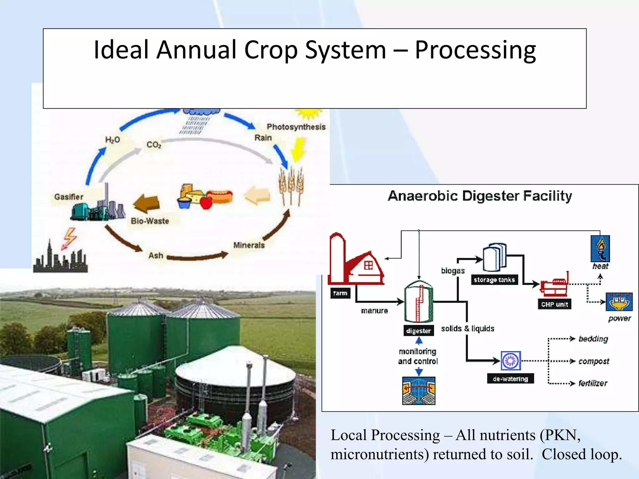 Local Processing – All nutrients (PKN,
micronutrients) returned to soil. Closed loop.
Ideal Annual Crop System – Processing
 