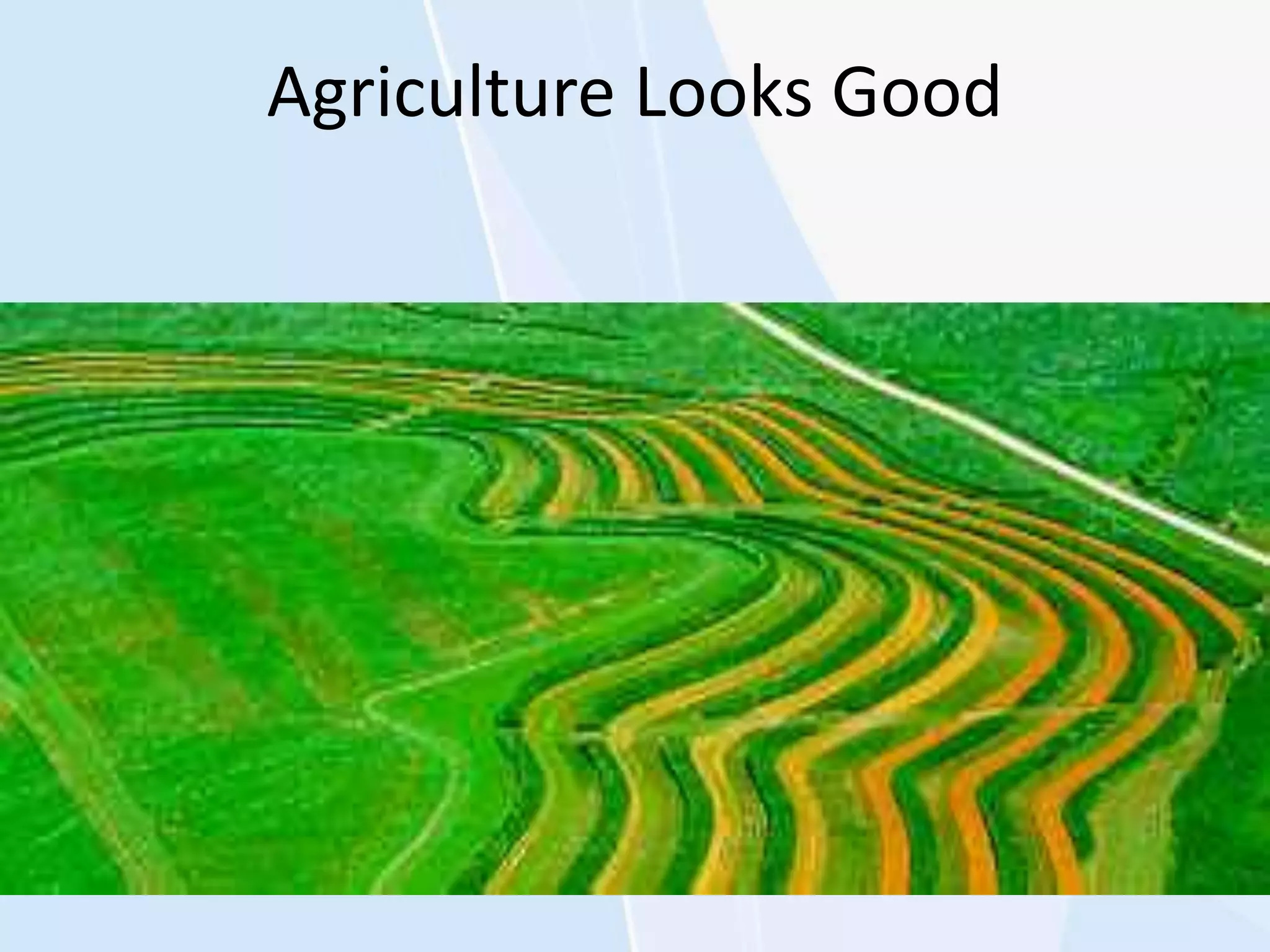 Agriculture Looks Good
 