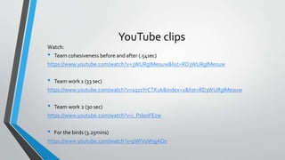 YouTube clips
Watch:
• Team cohesiveness before and after (.54sec)
https://www.youtube.com/watch?v=3WURgIMeouw&list=RD3WURgIMeouw
• Team work 1 (33 sec)
https://www.youtube.com/watch?v=1qzzYrCTKuk&index=2&list=RD3WURgIMeouw
• Team work 2 (30 sec)
https://www.youtube.com/watch?v=i_Psl0nFEzw
• For the birds (3.25mins)
https://www.youtube.com/watch?v=pWIVoW9jAOs
 