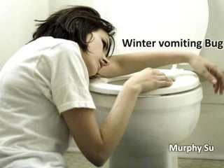 Winter vomiting Bug
Murphy Su
 