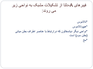 ‫فیبرهای‬A-‫نواحی‬ ‫به‬ ‫مشبک‬ ‫تشکیالت‬ ‫از‬ ‫دلتا‬‫ز‬‫یر‬
‫روند‬ ‫می‬:
*‫تاالموس‬
*‫هیپوتاالموس‬
*‫می‬ ‫بطن‬ ‫اطراف‬ ‫عناصر‬ ‫با‬ ‫درارتباط‬ ‫که‬ ‫دیانسفالون‬ ‫دیگر‬ ‫نواحی‬‫انی‬
(‫سوم‬ ‫بطن‬)‫است‬
*‫مخ‬
 