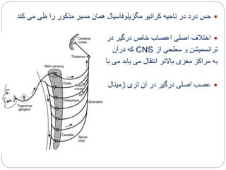‫کرانیو‬ ‫ناحیه‬ ‫در‬ ‫درد‬ ‫حس‬‫ک‬ ‫می‬ ‫طی‬ ‫را‬ ‫مذکور‬ ‫مسیر‬ ‫همان‬ ‫مگزیلوفاسیال‬‫ند‬
‫در‬ ‫درگیر‬ ‫خاص‬ ‫اعصاب‬ ‫اصلی‬ ‫اختالف‬
‫از‬ ‫سطحی‬ ‫و‬ ‫ترانسمیشن‬CNS‫درآن‬ ‫که‬
‫باشد‬ ‫می‬ ‫یابد‬ ‫می‬ ‫انتقال‬ ‫باالتر‬ ‫مغزی‬ ‫مراکز‬ ‫به‬
‫ژمینال‬ ‫تری‬ ‫آن‬ ‫در‬ ‫درگیر‬ ‫اصلی‬ ‫عصب‬
 
