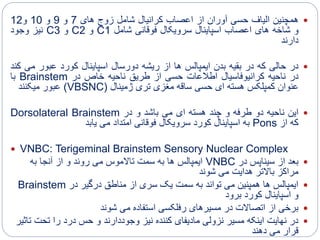 ‫همچنین‬‫الیاف‬‫حسی‬‫آوران‬‫از‬‫اعصاب‬‫کرانیال‬‫شامل‬‫زوج‬‫های‬7‫و‬9‫و‬10‫و‬12
‫و‬‫شاخه‬‫های‬‫اعصاب‬‫اسپاینال‬‫سرویکال‬‫فوقانی‬‫شامل‬C1‫و‬C2‫و‬C3‫نیز‬‫وجود‬
‫دارند‬
‫در‬‫حالی‬‫که‬‫در‬‫بقیه‬‫بدن‬‫ایمپالس‬‫ها‬‫از‬‫ریشه‬‫دورسال‬‫اسپاینال‬‫کورد‬‫عبور‬‫می‬‫کند‬
‫در‬‫ناحیه‬‫کرانیوفاسیال‬‫اطالعات‬‫حسی‬‫از‬‫طریق‬‫ناحیه‬‫خاص‬‫در‬Brainstem‫با‬
‫عنوان‬‫کمپلکس‬‫هسته‬‫ای‬‫حسی‬‫ساقه‬‫مغزی‬‫تری‬‫ژمینال‬(VBSNC)‫عبور‬‫میکنند‬
‫این‬‫ناحیه‬‫دو‬‫طرفه‬‫و‬‫چند‬‫هسته‬‫ای‬‫می‬‫باشد‬‫و‬‫در‬Dorsolateral Brainstem
‫که‬‫از‬Pons‫به‬‫اسپاینال‬‫کورد‬‫سرویکال‬‫فوقانی‬‫امتداد‬‫می‬‫یابد‬
 VNBC: Terigeminal Brainstem Sensory Nuclear Complex
‫در‬ ‫سیناپس‬ ‫از‬ ‫بعد‬VNBC‫به‬ ‫آنجا‬ ‫از‬ ‫و‬ ‫روند‬ ‫می‬ ‫تاالموس‬ ‫سمت‬ ‫به‬ ‫ها‬ ‫ایمپالس‬
‫شوند‬ ‫می‬ ‫هدایت‬ ‫باالتر‬ ‫مراکز‬
‫در‬ ‫درگیر‬ ‫مناطق‬ ‫از‬ ‫سری‬ ‫یک‬ ‫سمت‬ ‫به‬ ‫تواند‬ ‫می‬ ‫همپنین‬ ‫ها‬ ‫ایمپالس‬Brainstem
‫برود‬ ‫کورد‬ ‫اسپاینال‬ ‫و‬
‫شوند‬ ‫می‬ ‫استفاده‬ ‫رفلکسی‬ ‫مسیرهای‬ ‫در‬ ‫اتصاالت‬ ‫از‬ ‫برخی‬
‫تحت‬ ‫را‬ ‫درد‬ ‫حس‬ ‫و‬ ‫وجوددارند‬ ‫نیز‬ ‫کننده‬ ‫مادیفای‬ ‫نزولی‬ ‫مسیر‬ ‫اینکه‬ ‫نهایت‬ ‫در‬‫تاثیر‬
‫دهند‬ ‫می‬ ‫قرار‬
 