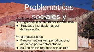 Problemáticas
sociales y
ambientales
Problemas ambientales
● Degradación de suelo por monocultivo.
● Sequías e inundaciones por
deforestación.
Problemas sociales
● Pueblos nativos ven perjudicado su
ambiente por la deforestación.
● Es una de las regiones con un alto
 