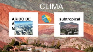 CLIMA
ÁRIDO DE
ALTA
MONTAÑA
subtropical
serrano
 