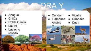 FLORA Y
FAUNA● Añagua
● Chijúa
● Roble Criollo
● Laurel
● Lapacho
rosado
● Cóndor
● Flamenco
Andino
● Yaguareté
● Vicuña
● Guanaco
● Coatí
 