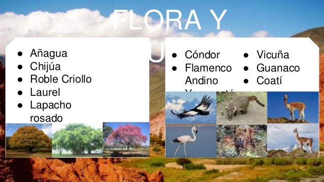 Noroeste argentino