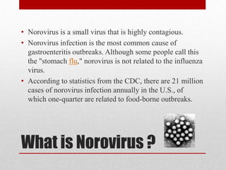 Norovirus outbreak prevention | PPTX