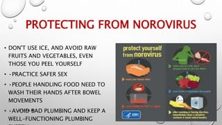Norovirus Norwalk agent PPT 